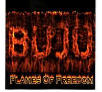 Banton, Buju - Flames of Freedom