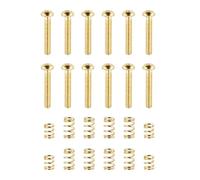 Banworks #4-40 UNC x 5/8" Stainless Steel Saddle Intonation Screws Saddle Length Adjustment Screws Set with 4 Long+2 Short Springs for Fender Strat ST Electric Guitar Set of 12 JT/QMLS-03 Golden