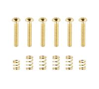 Banworks #4-40 UNC x 5/8" Stainless Steel Saddle Intonation Screws Saddle Length Adjustment Screws Set with 4 Long+2 Short Springs for Fender Strat ST Electric Guitar Set of 6 JT/QMLS-03 Golden