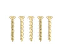 Banworks #6 × 7/8" Tele Hardtail Bridge Mounting Wood Screws | Tailpiece Base Mounting Screws Phillips Oval Head for MX/USA Modern Fender Telecaster Tele TL Set of 5 JT/LXBLS-02 Golden