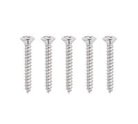 Banworks #6 × 7/8" Tele Hardtail Bridge Mounting Wood Screws | Tailpiece Base Mounting Screws Phillips Oval Head for MX/USA Modern Fender Telecaster Tele TL Set of 5 JT/LXBLS-02 Chrome
