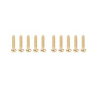 Banworks Metric 2.1x11.5mm Guitar Tuning Pegs Truss Rod Cover Screws 10Pcs | Stainless Steel Pan Head Guitar Machine Heads Mounting Screws for Bass Electric Acoustic Guitar JT/JXQLS-05 Golden