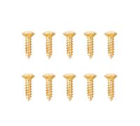 Banworks Metric 2.5x10mm Guitar Tuning Pegs Truss Rod Cover Screws 10Pcs | Stainless Steel Oval Head Guitar Machine Heads Mounting Screws for Bass Electric Acoustic Guitars JT/JXQLS-05 Golden