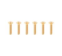 Banworks Metric 2.5x12mm M2.5 Guitar Tuning Pegs Button Screws Oval Head Guitar Machine Heads Screws for Les Paul LP Stratocaster Strat ST Tele Electric Bass Acoustic Guitar 6Pcs JT/JXQLS-03 Golden