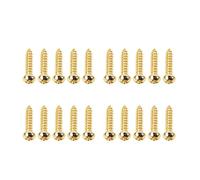 Banworks USA #2 x 3/8" Guitar Tuning Pegs Screws Tuning Machine Head Screws | Stainless Steel Guitar/Bass Tuning Keys Screws for Gibson Les Paul SG Elctric Guitars Bass Pack of 20 JT/JXQLS-01 Golden