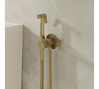 Banyetti Luca Round Concealed Thermostatic Douche - Brushed Brass in Gold Banyetti Gold