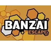 Banzai Escape Steam CD Key