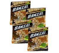 Banzai Roasted Pumpkin Seeds with Salt 80g Salted Roasted Pumpkin Seeds Crunchy Healthy Snack Product of Moldova Pack of 4