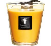 Baobab Collection All-SeasonsScented Candle Zanzibar Spices Max 16