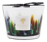 Baobab Home Scented-candlesAmazonia Max 10