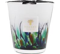 Baobab Home Scented-candlesAmazonia Max 16