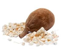 Baobab Pulp (200g)