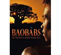 Baobabs: Between Land and Sea