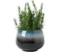 Baobiutin Lotus Bowl Planter 4.2x4 Inch Round Ceramic Plant Pot Vintage Decorative Lotus Flower Bowl with Non Slip Base for Hydroponics Style 2 -