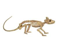 Baobiutin Skeleton Rat Decoration Plastic Animal Bones Crazy Creepy for Halloween Horror Prop Mouse Skeleton Decoration
