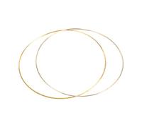 Baoblaze 2Pcs Metal Floral Hoops Round Handmade Large 60cm Wreath Macrame Rings for Wedding Wreath Wall Hanging Crafts Home Decoration