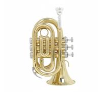 Baoblaze Brass Pocket Trumpet Bb Mini Cornet Compact Instrument Portable Bugle With Stable Structure Ion Joined Interfaces Smooth Fingering Suitable for student lessons ensemble rehearsal travel