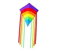 Baoblaze Long-tailed Beach Kite, Rainbow Flying Kite, Single Line, Huge, with String, Foldable for Games And, Violet Head