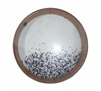 Baoblaze Percussion Drum Rain Stick Drum Bead Drum With Round Frame and Bead-Filled Core for Rhythm Sound Suitable for Classroom Teaching Group Music Stage, 16 Inch With Plastic White + Black Beads