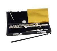 Baoblaze Piccolo C Key with Hard Case and Cleaning Kits Woodwind Instrument 16 Hole Flute for Gift Student Performance Party Playing,