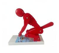 Baoblaze Spine Offers Posture Adjustment Model Spine Structure Demonstration Aid Lifting Tool Teaching Material Suitable for Physical Therapy Instruction Classroom Settings Seminars, Orange