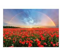 Baocicco 10x8ft Background for Sunset Rainbow Sky Red Poppy Field Photography Backdrop Outdoor Wedding Backdrop Spring Natural Scenery Wedding Ceremony Valentine's Day Vacation Photo Studio Props