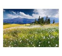 Baocicco 10x8ft Vinyl Summer Landscape Backdrops for Photography Background Blooming Flower Mountain Landscape Grass Field Vacation Holiday Party Backdrop Children Adults Portraits Photo Studio