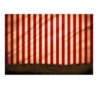 Baocicco 12x8ft Circus Backdrop - Red & White Stripes - Photography Studio, Birthday Party, Event - Vinyl Material - 1 Backdrop