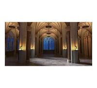Baocicco 20x10ft Vinyl Vintage Palace Backdrop Photography Glass Window Medieval Gothic Church Interior Cathedral Castle Night Backdrops Wedding Bridal Shower Anniversary Party Decor Banner Props
