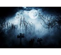 Baocicco 5x4ft Vinyl Halloween Theme Backdrop Gloomy Scene Photography Background Scary Graveyard Tombstone Scary Night Ghost Full Moon Children Baby Adults Portraits Photo Studio