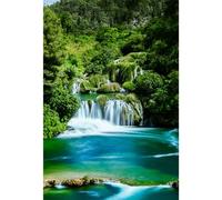Baocicco 5x7ft Green Tropical Rain Forest Backdrops Clean River Backdrop Water Fall Lake Photography Background Wedding Honeymoon Anniversary Happy Birthday Party Adventure Photo Shooting Props