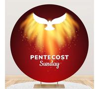 Baocicco 7.2ft Pentecost Sunday Advent Round Backdrop Cover Red Golden Light Dove Circle Background Polyester Christian Church Pentecost Celebration Decor Religious Party Photography Props Video