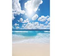 Baocicco 8x10ft Seaside Beach Backdrop Blue Pure Sea Water Backdrop Blue Sky White Cloud Backdrop Seaside Wedding Backdrop Tropical Siesta Backdrop Holiday Festival Photo Shooting Props Booth Props