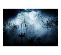 Baocicco 9x6ft Vinyl Halloween Theme Backdrop Gloomy Scene Photography Background Scary Graveyard Tombstone Scary Night Ghost Full Moon Children Baby Adults Portraits Photo Studio