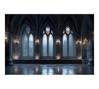Baocicco Gothic Church Backdrop 10x8ft Vintage Medieval Castle Wall Ancient Arches Window Corridor Photography Backdrops Halloween Night Backdrops Castle Party Princess Prince Birthday Banner