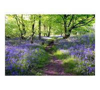 Baocicco Vinyl Lavender Spring Woods View 10x8ft Wedding Photography Purple Flowers Green Tees and Grass Backgroud Fresh Environment Nature Scenery Travel Artistic Studio Props