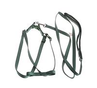 BaoFufc Parrrot Small Animal Harness and Leash, Flying Vest for Flying Hamster, Bird Leash, Bird Seed Picking Funnel, Large