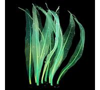 BaoFufc Simulation Kelp Resin Artificial Seaweed Moving with Water Ornament for Aquarium 5 Colors Fish for Tank Decor Aquarium Kelp Decoration, green