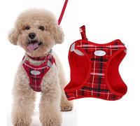 BAOFUYA No Pull Dog Harness, Breathable and Lightweight Easy On and Off Polyester Puppy Vest Kitten Collar and Leash Set for Training Walking Hiking (M)