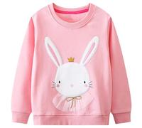 Baogaier Baby Girls Sweatshirts Crewneck Pullover Toddler Clothes Girl Soft Comfort Cotton Top Long Sleeve Casual Jumper Pink Rabbit Fluffy Touch Easter Gift Cute T Shirt Fall for Kids 2-3 Years