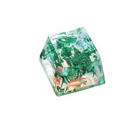 baojielai OEM Height Profile Keycap Mechanical Keyboard Resin Keycaps with Color Foil Backlight Enhances Aesthetic and Durability
