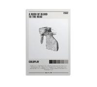 BAOSANNIAN Coldplay A Rush of Blood to The Head 1 Canvas Poster Bedroom Decor Sports Landscape Office Room Gift Unframe-style 16x24inch(40x60cm)