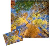 Baquler 2 Pcs 2 x 2 ft Fluorescent Light Covers for Ceiling Lights Classroom Magnetic Light Filters for Reducing Harsh Glare Flicker for Office Classroom Home Drop Ceiling(Fall Forest)