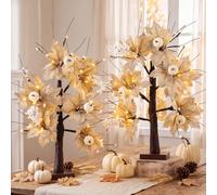 Baquler 2 Pcs Fall LED Lighted Birch Trees 24 Inch Gray White Birch Leaf Lighted Autumn Pumpkins Light Artificial up Pre Lit Tabletop Tree Harvest Day Decoration for Thanksgiving Home Indoor Table