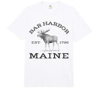 Bar Harbor Comfort Colors Adult Heavyweight T-Shirt