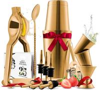 Bar Set Cocktail Shaker Set, Stainless Steel Mixology Bartender Kit, 16 Piece Cocktail Kit, Gold Cocktail Set, Bar Tools: 30oz Martini Shaker, Muddler, Bar Kit Cocktail Book, Jigger and Pourers