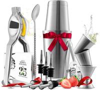 Bar Set Cocktail Shaker Set, Stainless Steel Mixology Bartender Kit, 16 Piece Cocktail Kit, Silver Cocktail Set, Bar Tools: 30oz Martini Shaker, Muddler, Bar Kit Cocktail Book, Jigger and Pourers