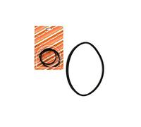 Barazzoni Replacement Gasket Blister Amelia/Bonita 7 Litres/Vapomania 5-7-9 Litres, Rubber, Black