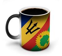 Barbados Oromo Liberation Front Flag Magic Coffee Mug Color Changing Cup
