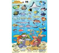 Barbados Reef Creatures Guide Franko Maps Laminated Fish Card 4" x 6"